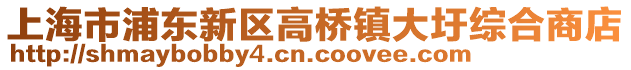 上海市浦東新區(qū)高橋鎮(zhèn)大圩綜合商店