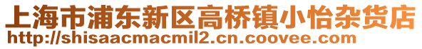 上海市浦東新區(qū)高橋鎮(zhèn)小怡雜貨店