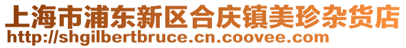 上海市浦東新區(qū)合慶鎮(zhèn)美珍雜貨店