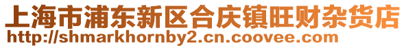上海市浦東新區(qū)合慶鎮(zhèn)旺財(cái)雜貨店