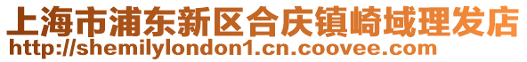 上海市浦東新區(qū)合慶鎮(zhèn)崎域理發(fā)店