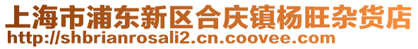 上海市浦東新區合慶鎮楊旺雜貨店