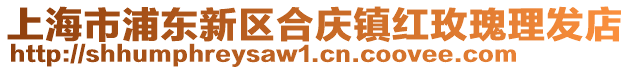 上海市浦東新區(qū)合慶鎮(zhèn)紅玫瑰理發(fā)店