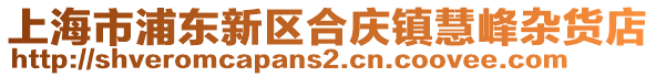 上海市浦東新區(qū)合慶鎮(zhèn)慧峰雜貨店