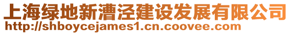 上海綠地新漕涇建設(shè)發(fā)展有限公司