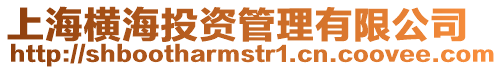 上海橫海投資管理有限公司