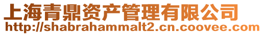 上海青鼎資產管理有限公司