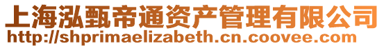 上海泓甄帝通資產管理有限公司