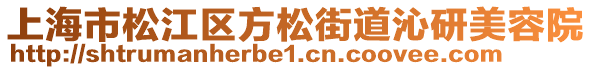 上海市松江區(qū)方松街道沁研美容院