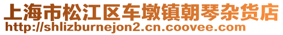 上海市松江區(qū)車墩鎮(zhèn)朝琴雜貨店