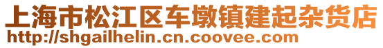 上海市松江區(qū)車墩鎮(zhèn)建起雜貨店