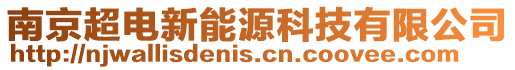南京超電新能源科技有限公司
