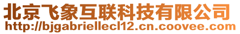 北京飛象互聯(lián)科技有限公司