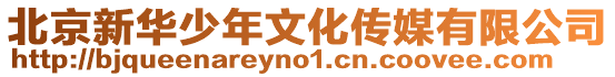 北京新華少年文化傳媒有限公司
