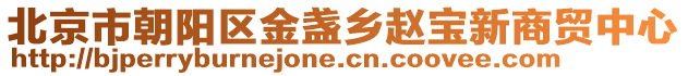 北京市朝陽區(qū)金盞鄉(xiāng)趙寶新商貿中心