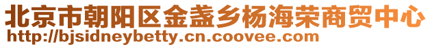 北京市朝陽區(qū)金盞鄉(xiāng)楊海榮商貿(mào)中心