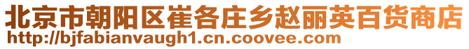 北京市朝陽區崔各莊鄉趙麗英百貨商店