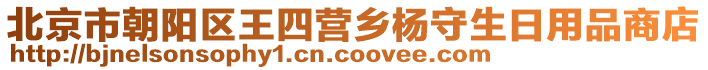 北京市朝陽區(qū)王四營鄉(xiāng)楊守生日用品商店