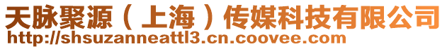 天脈聚源(上海)傳媒科技有限公司