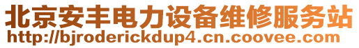 北京安豐電力設備維修服務站