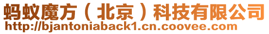 螞蟻魔方(北京)科技有限公司