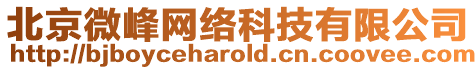 北京微峰網絡科技有限公司