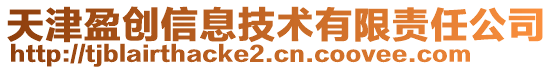 天津盈創信息技術有限責任公司