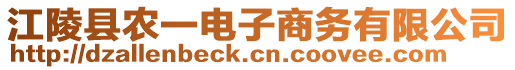江陵縣農一電子商務有限公司
