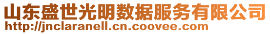 山東盛世光明數(shù)據(jù)服務(wù)有限公司