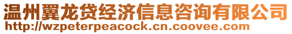 溫州翼龍貸經(jīng)濟信息咨詢有限公司