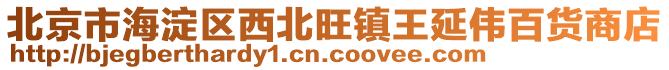 北京市海淀區(qū)西北旺鎮(zhèn)王延偉百貨商店