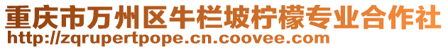 重慶市萬州區(qū)牛欄坡檸檬專業(yè)合作社