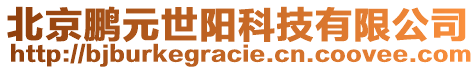 北京鹏元世阳科技有限公司