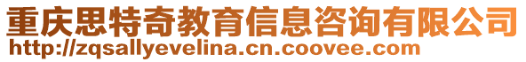 重慶思特奇教育信息咨詢有限公司