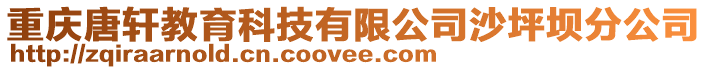 重慶唐軒教育科技有限公司沙坪壩分公司