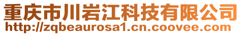 重慶市川巖江科技有限公司