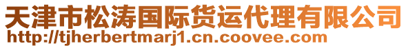 天津市松濤國際貨運(yùn)代理有限公司