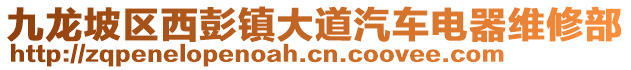 九龍坡區(qū)西彭鎮(zhèn)大道汽車電器維修部