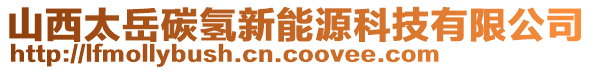 山西太岳碳?xì)湫履茉纯萍加邢薰? style=