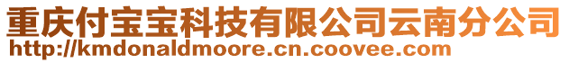 重慶付寶寶科技有限公司云南分公司