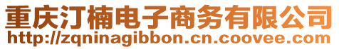 重慶汀楠電子商務有限公司