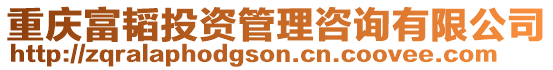 重慶富韜投資管理咨詢有限公司