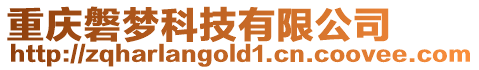 重慶磐夢科技有限公司