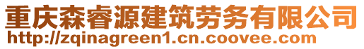 重慶森睿源建筑勞務有限公司