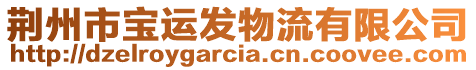 荊州市寶運(yùn)發(fā)物流有限公司