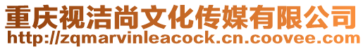 重慶視潔尚文化傳媒有限公司