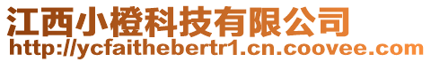 江西小橙科技有限公司