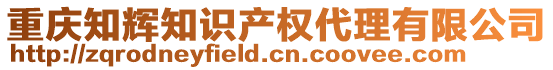 重慶知輝知識(shí)產(chǎn)權(quán)代理有限公司