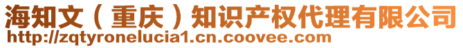 海知文（重慶）知識(shí)產(chǎn)權(quán)代理有限公司