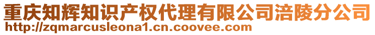 重慶知輝知識(shí)產(chǎn)權(quán)代理有限公司涪陵分公司